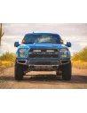 Kit calandre Lazer Carbon-6 Spot Ford F-150 Raptor 2017-2020 LAZER -