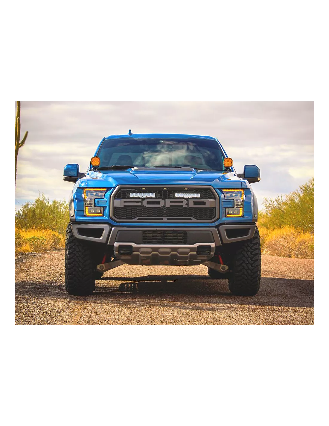 Kit calandre Lazer Carbon-6 Spot Ford F-150 Raptor 2017-2020 LAZER -
