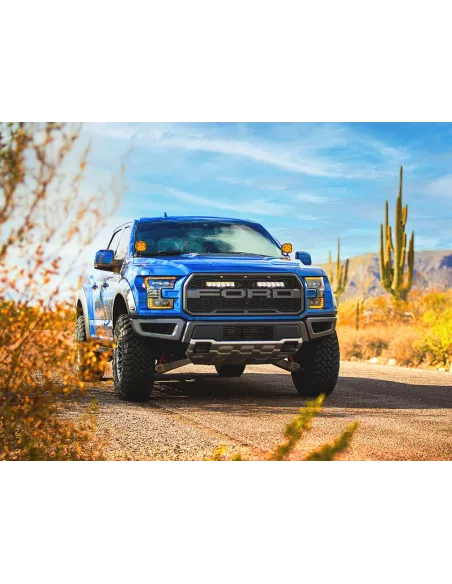Kit calandre Lazer Carbon-6 Spot Ford F-150 Raptor 2017-2020 LAZER -