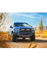 Kit calandre Lazer Carbon-6 Spot Ford F-150 Raptor 2017-2020 LAZER -