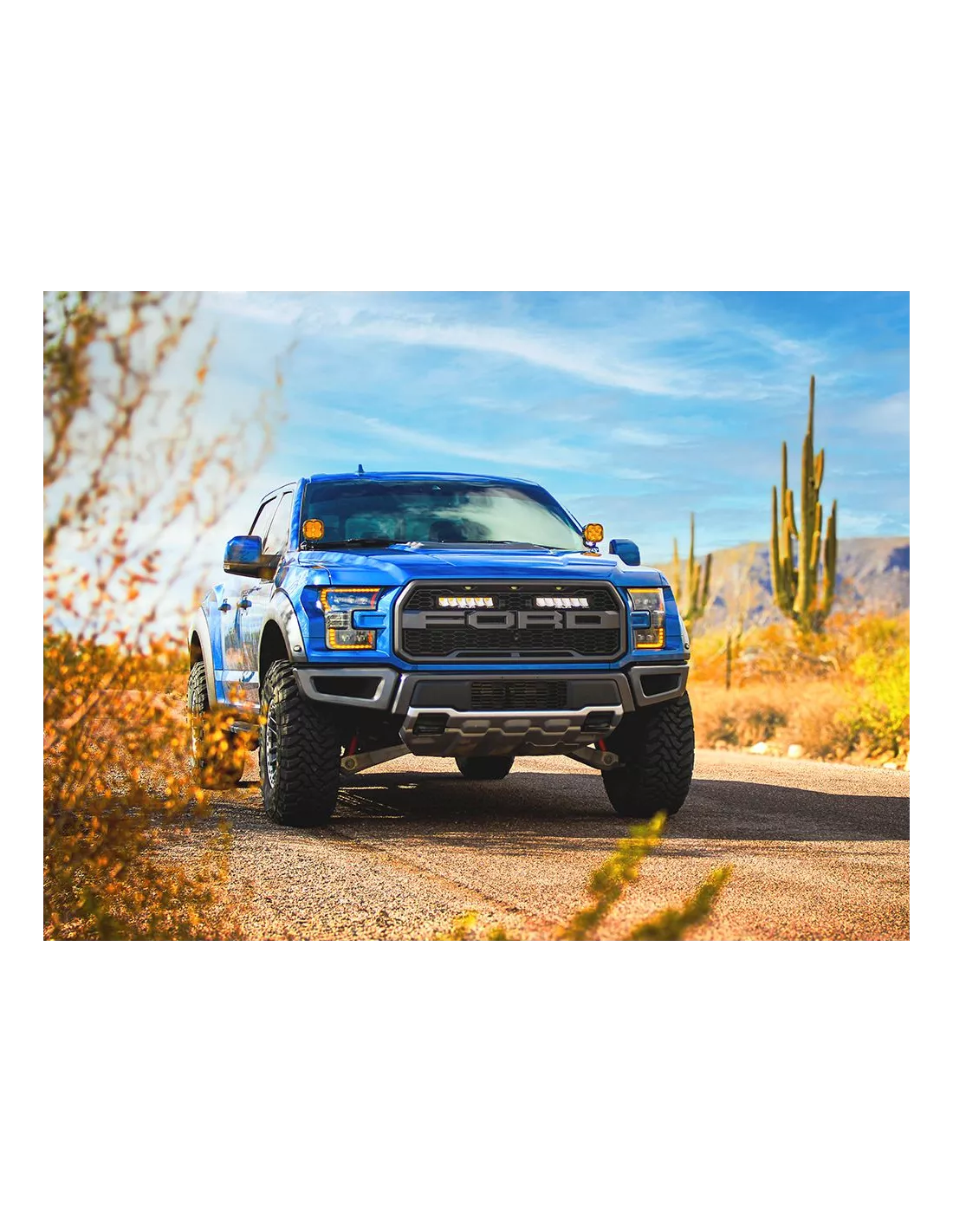 Kit calandre Lazer Carbon-6 Spot Ford F-150 Raptor 2017-2020 LAZER -