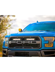 Kit calandre Lazer Carbon-6 Spot Ford F-150 Raptor 2017-2020 LAZER -