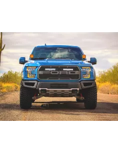 Kit calandre Lazer Carbon-6 Spot Yellow Ford F-150 Raptor 2017-2020