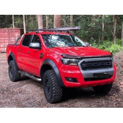 Raptor Wing Extensions for...
