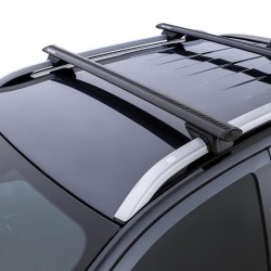 Dachstangen RHINO RACK...