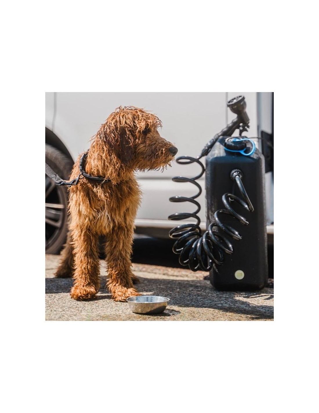 Douche portable 12V Ontap 22L – douche nomade camping, plage et 4x4