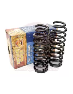 Ressorts avant Terrain Tamer +50 mm Ford Ranger Raptor 2019-2021