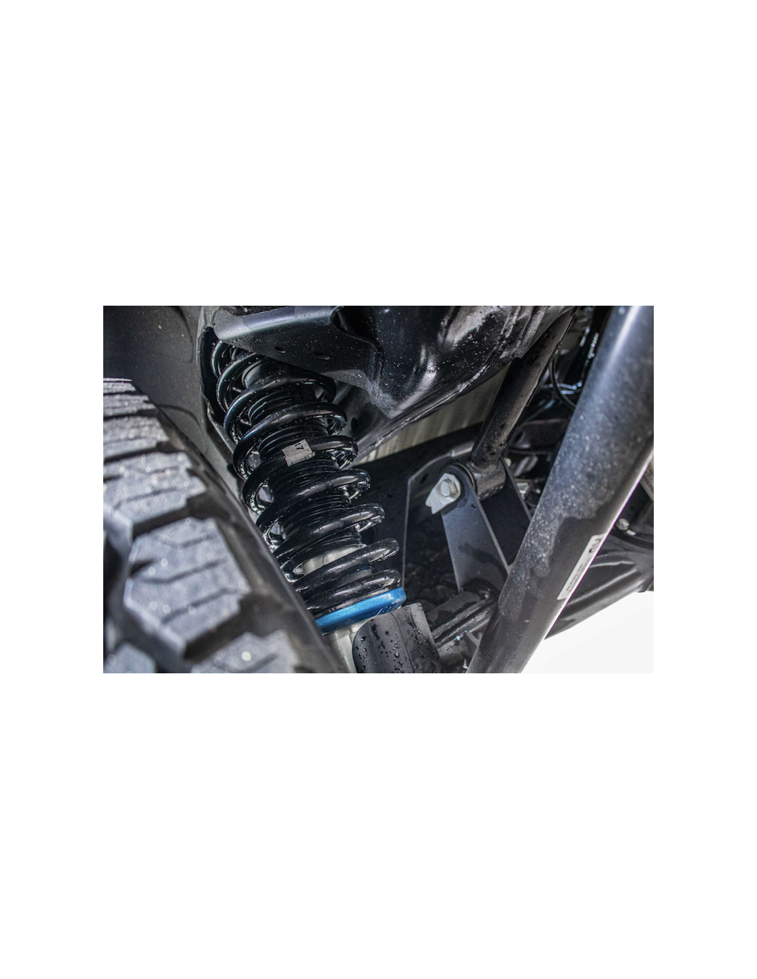 Ressorts avant Terrain Tamer +50 mm Ford Ranger Raptor 2019-2021