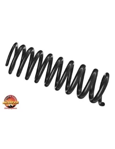 Front springs Terrain Tamer enhances +40mm Ford Ranger Raptor 2023+ 2
