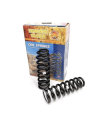 copy of Ressort d'amortisseur AV Pedders Trakryder Ford Ranger Raptor