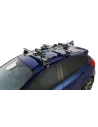 Galerie Elementtür 250mm Angelrute oder Ski Rhino Rack