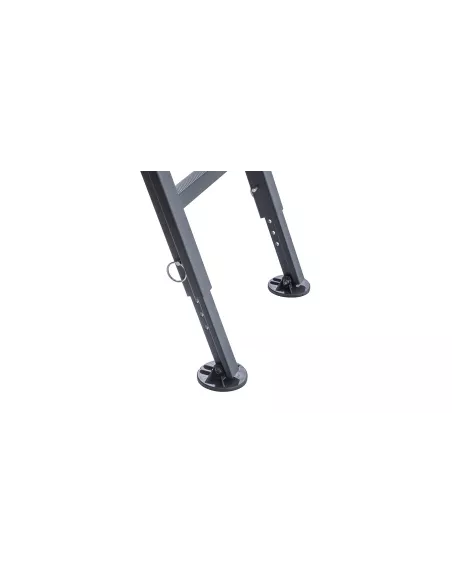 Echelle Rhino Rack pliante d'accès à la galerie RHINO RACK -