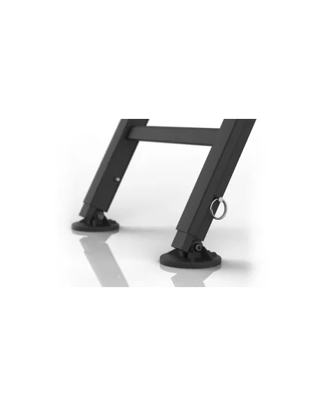 Echelle Rhino Rack pliante d'accès à la galerie RHINO RACK -