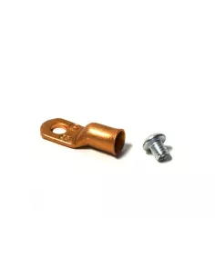 Vis de fixation et extrémité de corde treuil Warn WARN - accessoire