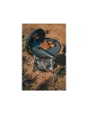Barbecue Gas Cadac Carri Chef 50 BBQ Grill 2 Braai CADAC - accessoire