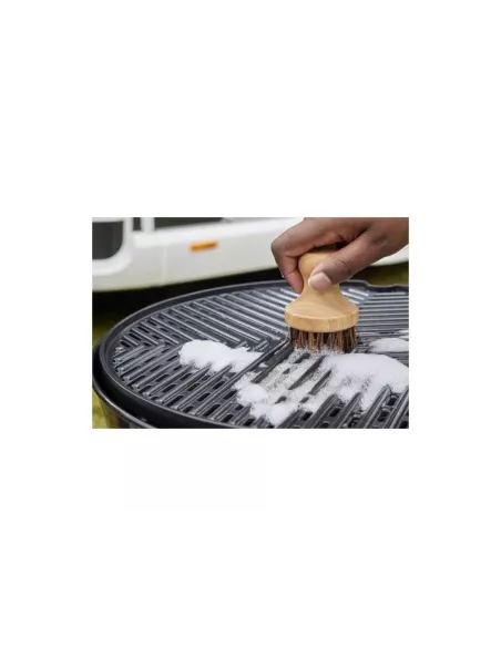 Brosse de nettoyage Cadac GreenGrill pour surfaces de cuisson CADAC -