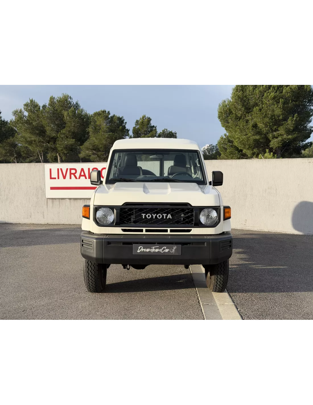 TOYOTA GRJ78 BVM witgrijs interieur - 4x4 accessoire