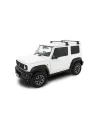 Kit 2 Black Dach Bars Wirbel 1370mm mit Fuß RL110 RHINO RACK -