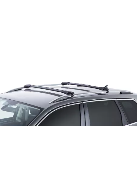Kit 2 barres de toit noire 845/905mm Vortex montage StealthBar RHINO