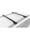 Kit 2 Zwart Dakbars Vortex 1370mm met RX-voeten RHINO RACK -