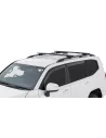 Kit 2 Black Dach Bars Wirbel 1370mm mit RX Füßen RHINO RACK -