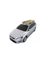Slide Out Ladder Loader (T7-SLRS) Rhino Rack RHINO RACK - accessoire