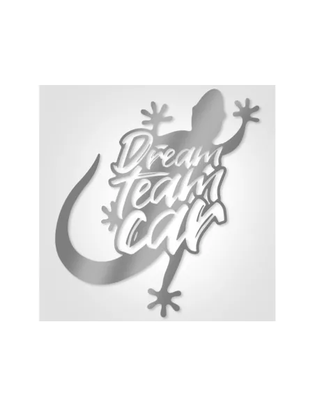 Grand autocollant gris métallisé de capot DreamTeamCar DTC PARTS -