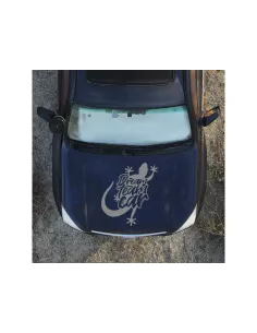 Grand autocollant gris métallisé de capot DreamTeamCar DTC PARTS - 2