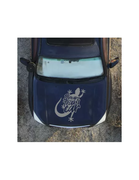 Grand autocollant gris métallisé de capot DreamTeamCar DTC PARTS -