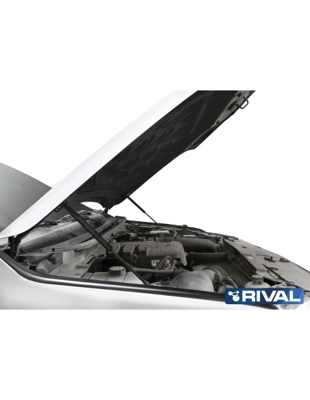 Vérin de capot RIVAL Ford Ranger 2023+