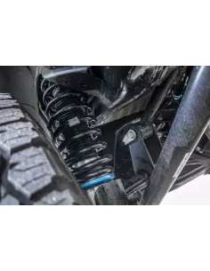 copy of Ressorts arrière Terrain Tamer +50mm Ford Ranger Raptor 2