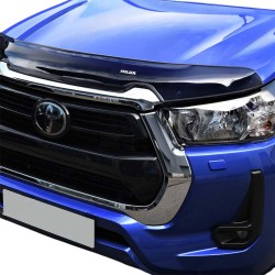 copy of Windows Deflectors...