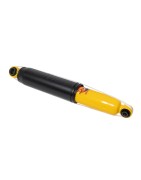 Rear shock absorbers