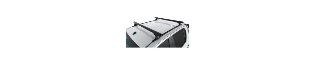 Isfra_Latn D-Max