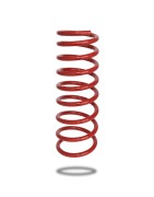 Rear spring